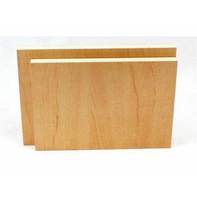 2er Set 120x120cm Möbelbauplatten Apfel Pappelsperrholz