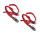 2er Set - Fiamma Strip - Gurte für Carry-Bike Fahrradträger 2 Stück rot