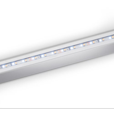 Dometic RainTec RT100 - LED Regenrinne für Schiebetüren - Weiß (3011)